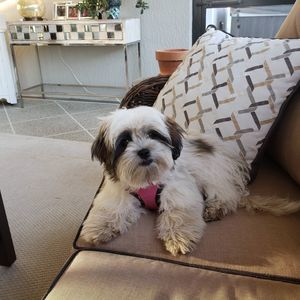 Meet your Posher, Jackie